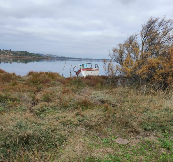 Bages en zijn vijvers, via de Roc de Berrière - Bages - 1