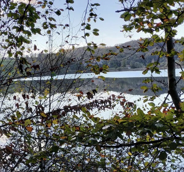 Les quatre lacs, Ilay, Narlay, Petit Maclu et Grand Maclu - La Chaux-du-Dombief - 1