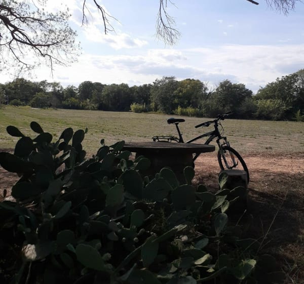 Petites routes de campagne autour de la bouverie - Roquebrune-sur-Argens - 1
