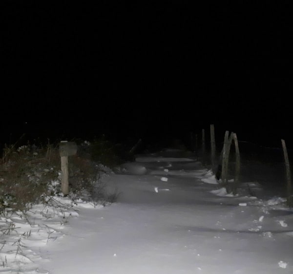 Petite balade autour de Bugnette - Saint-Genest-Lerpt - 1
