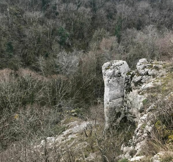 Pont des ânes - Val Suzon - 1