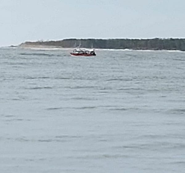 Wandel naar de Gallon d'Or en het Spaanse Punt - La Tremblade - 1