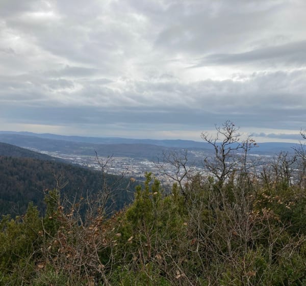 Grande balade par Apremont, lac Genin et prairie Echallon - Oyonnax - 1
