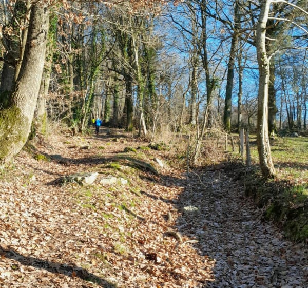 Autour de Mortain par Romagny - Mortain-Bocage - 1