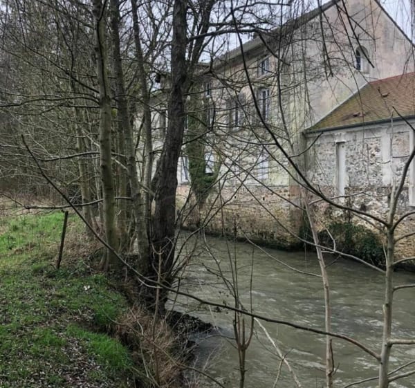 Dans le marais et le chemin du tacot à Saint Cyr sur Morin - Saint-Cyr-sur-Morin - 1