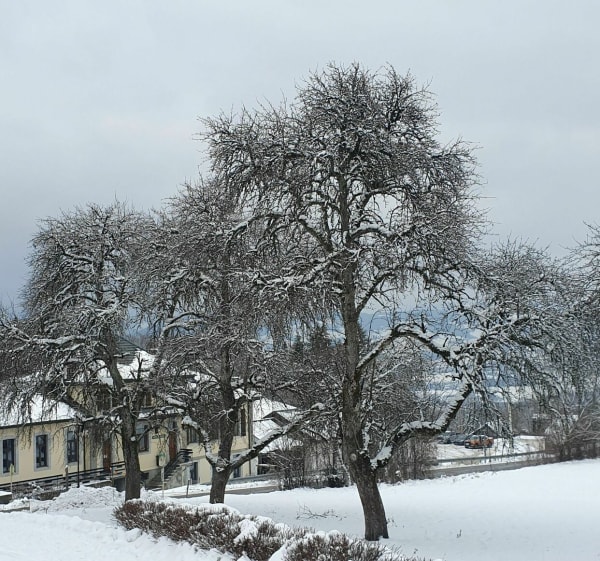 Saint-Jean-de-Tholome et le Col du Réray - Saint-Jean-de-Tholome - 1