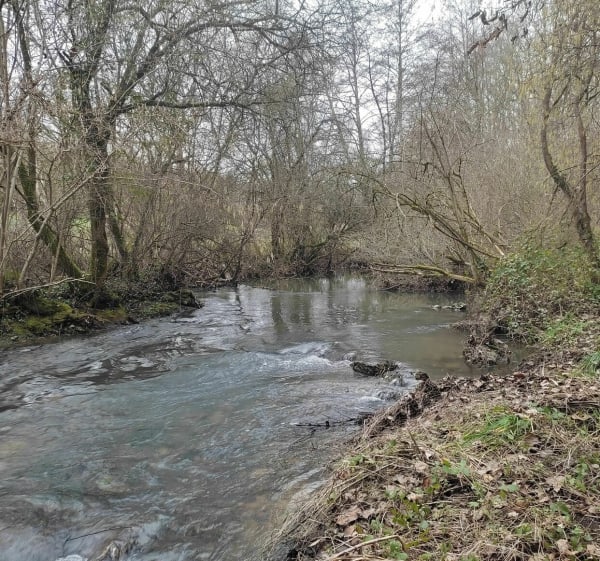 De la forêt de Vouillé en direction de Béruges - Béruges - 1