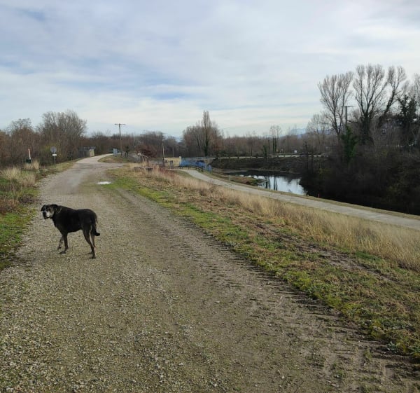 Via Rhona Le Pouzin - Le Pouzin - 1