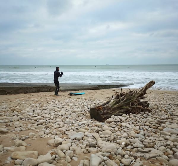 Balade dans les bois et nettoyage de la plage des Gouillauds - Le Bois-Plage-en-Ré - 1