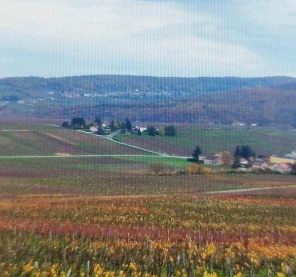 La Teppe de La Boucherette à Collongette - Lugny - 1