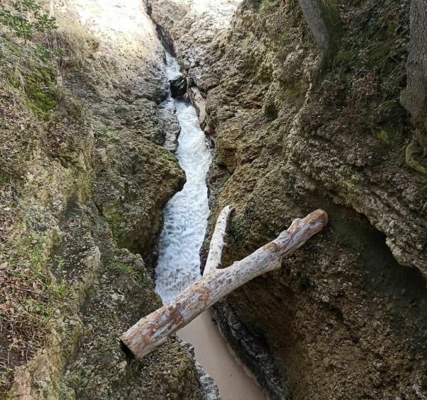 De la grande Côte à la Conche du Gilet - Vaux sur Mer - 1