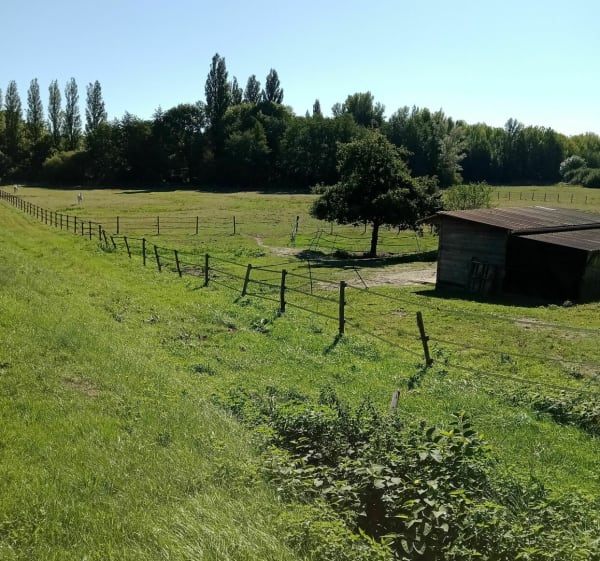 Pierrefitte et son lavoir - Pierrefitte-sur-Sauldre - 1