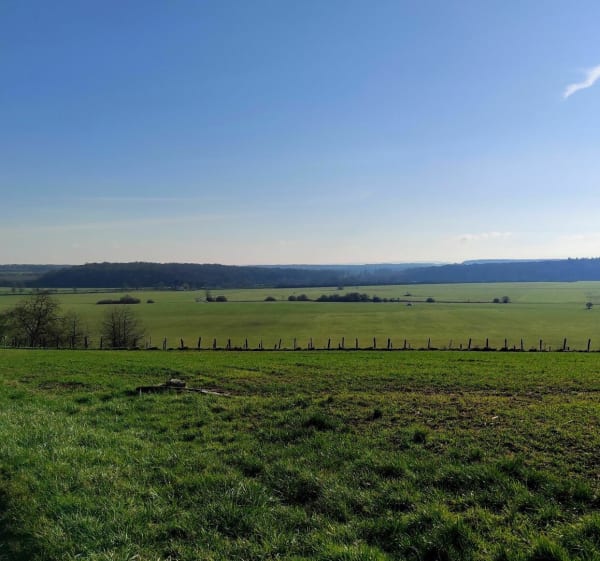 Promenade dans la prairie de Fédry et ses bords de Saône - Fédry - 1
