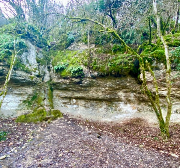 Source de Crosne et combe du pré - Marsannay-la-Côte - 1