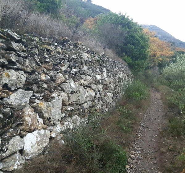 Rots van Mallorca - Castelnou - 1