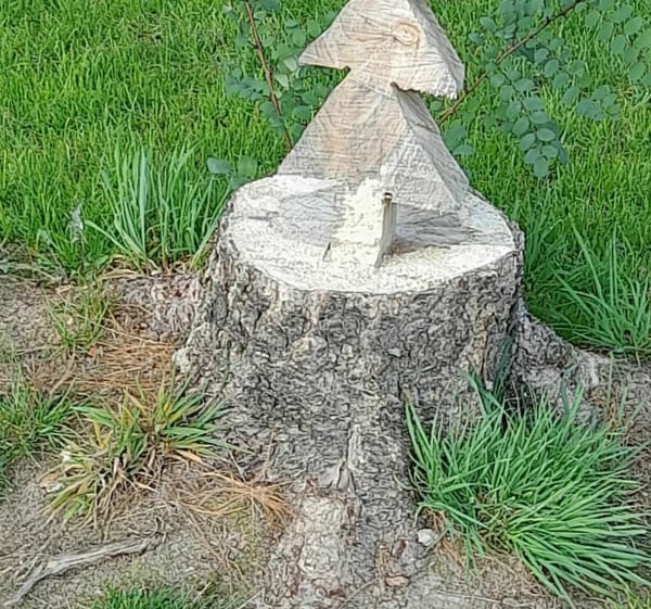Balade autour de Watten - Watten - 1