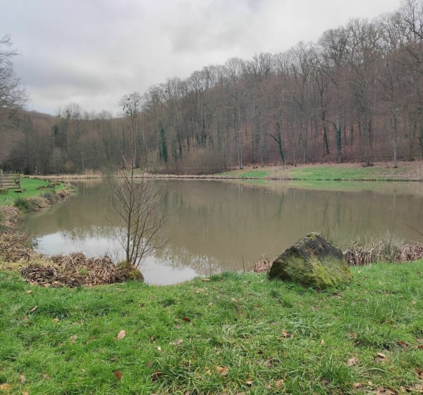 Autour de Klang, une agréable balade dans les bois - Klang - 1