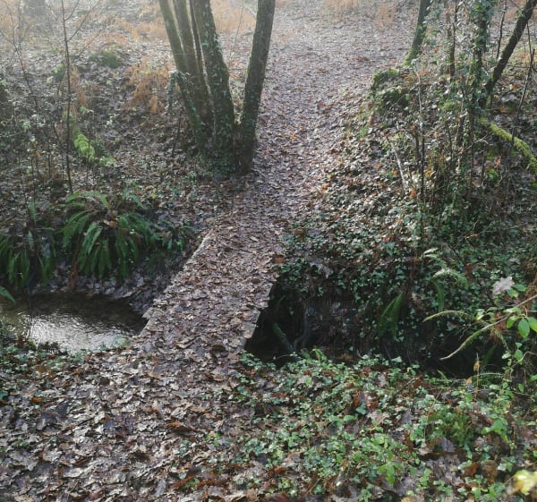 Parcours du Luzou à Bégaar par le Bignaou à VTT - Bégaar - 1