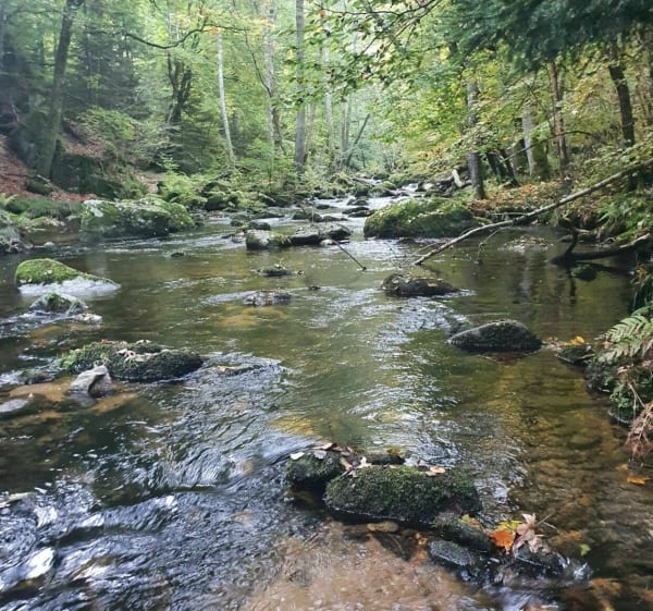 Balade au Pont du Diable - Saint Georges en Couzan - Marcoux - 1
