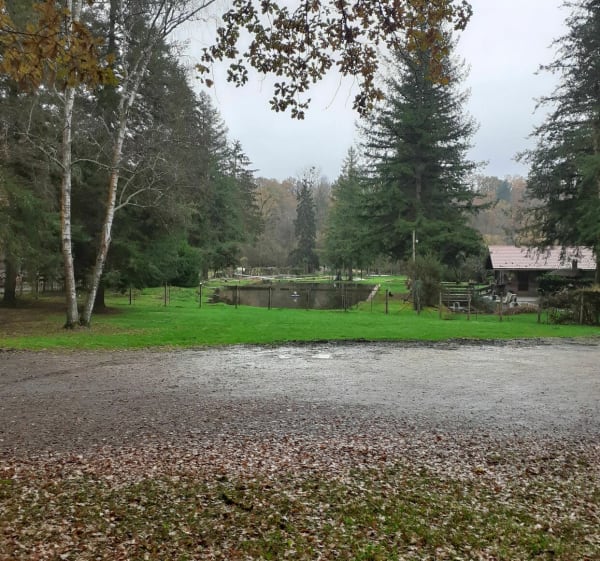 Randonnée du Téléthon - Le Palais-sur-Vienne - 1