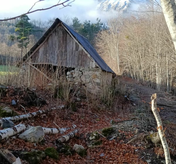 Le long des torrents de Brutinel, sous l'Aiguille de Laye - la Fare  en Champsaur - 1