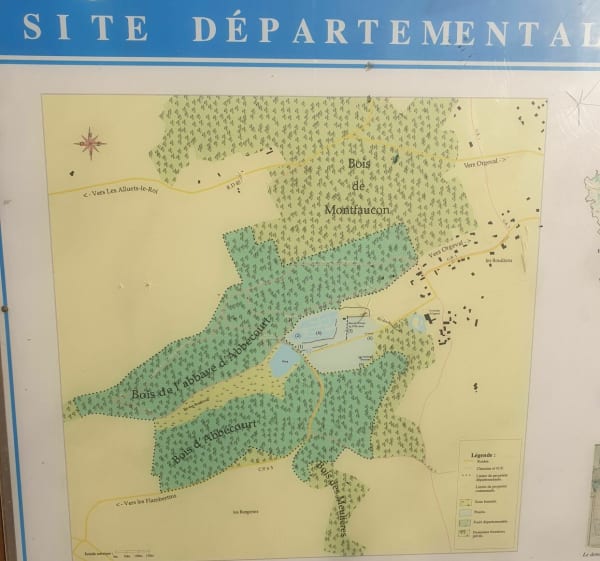 Ballade forestière autour des étangs à Orgeval - Orgeval - 1