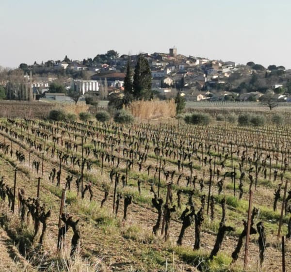 Balade facile sur les terres Abeilhanaise - Abeilhan - 1