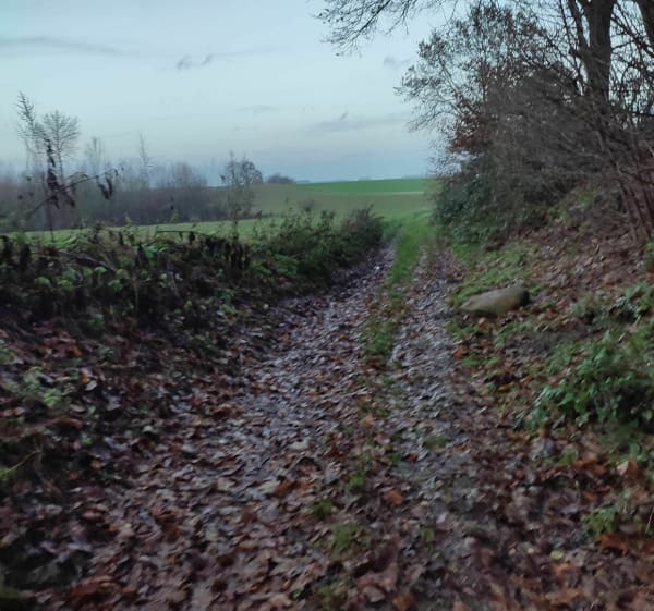 Randonnée sur les chemins de Genvry - Genvry - 1