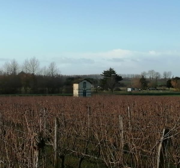Vers le port Sainte Catherine - Montreuil-Bellay - 1