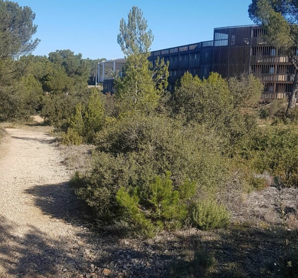 Balade le long du Petit Arbois via The Camp - Aix-en-Provence - 1