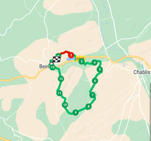 Boucle dans les Bois de Milly - Beine - 1