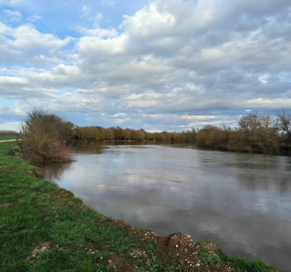 Plaine de Saône et Source Saint-André - Glanon - 1