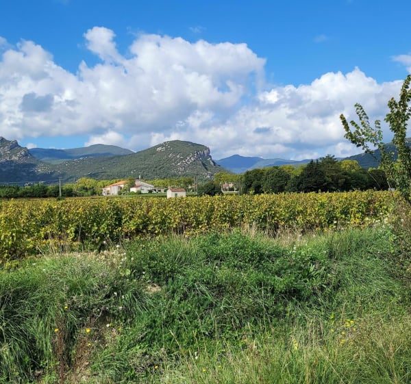 Balade à Saint-Hippolyte-du-Fort - Saint-Hippolyte-du-Fort - 1