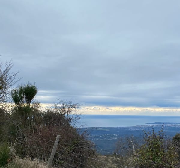 Domaine des Courmettes et vue sur la mer - Tourrettes-sur-Loup - 1