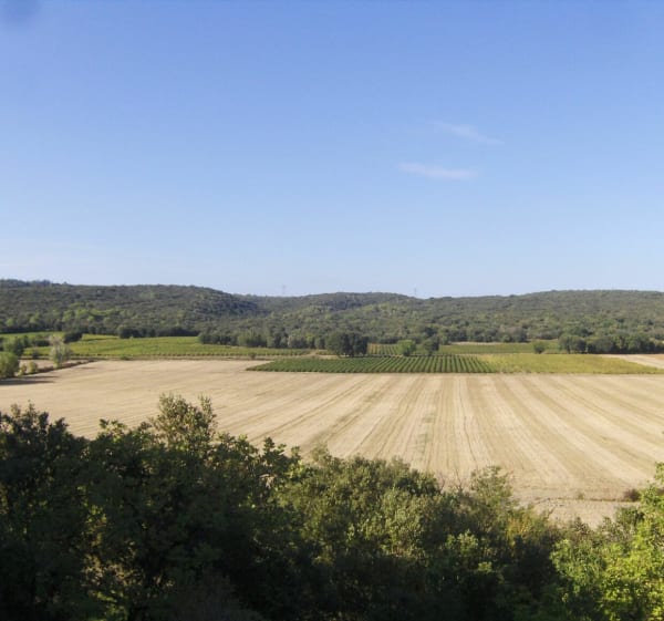 Balade entre bois et vignes, Saint Quentin la Poterie - Saint-Quentin-la-Poterie - 1