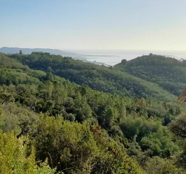 Domaine du Grand Duc depuis Mandelieu - Mandelieu-la-Napoule - 1