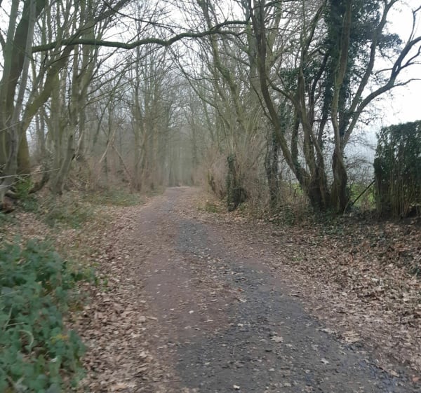 Gravel vers le mont St Aubert - Villeneuve-d'Ascq - 1