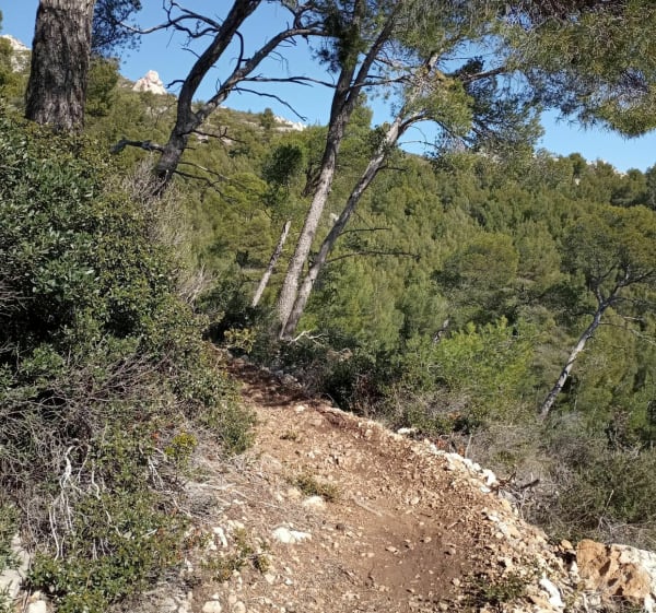 Boucle les bonnes herbes le Baou - Toulon - 1