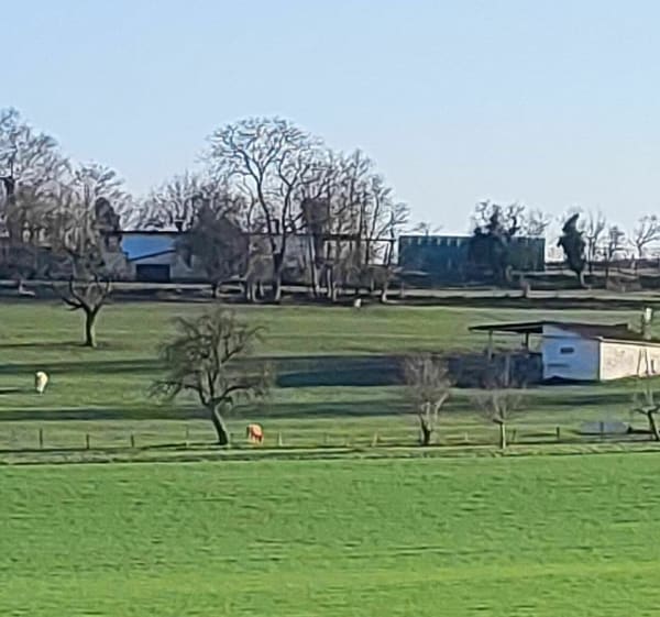 Sentier des collines de Rixheim - Rixheim - 1