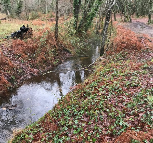 Promenons nous dans les bois, de gare de Gujan à gare de la Hume - Gujan-Mestras - 1