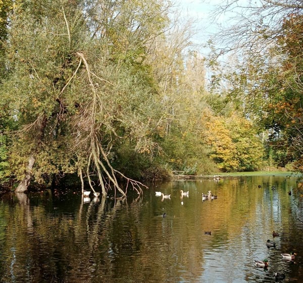 Place du marché aux toiles, Parc de la Lys - Armentières - 1