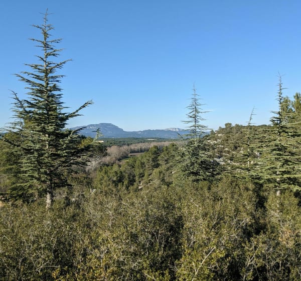 Prades le Lez - Saint Vincent de Barbeyrac - Prades - 1