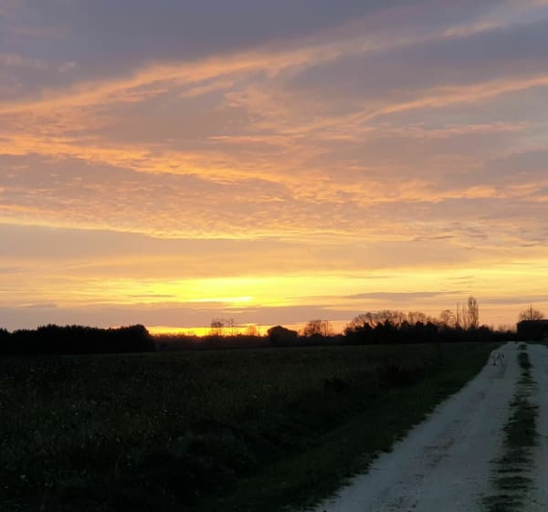 Sur les hauteurs de Fléré - Fléré-la-Rivière - 1