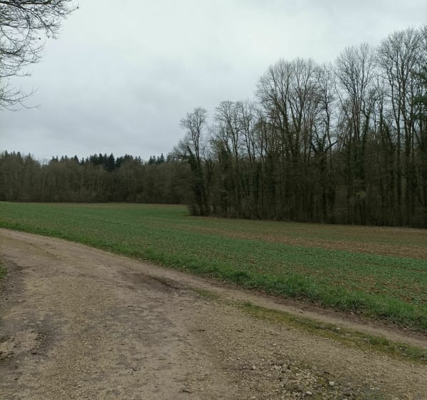 Balade près des Ulm à Fains Veel - Fains-Véel - 1