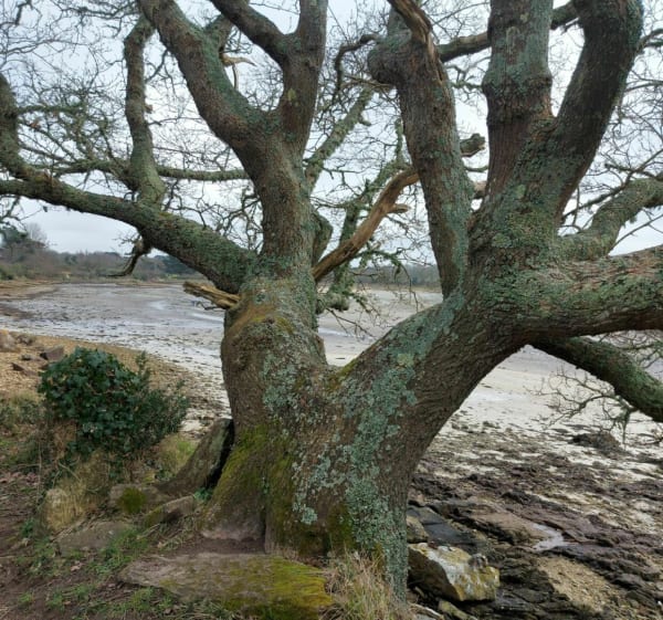 Pouldohan, de l'Anse du Moulin à Mer - Trégunc - 1