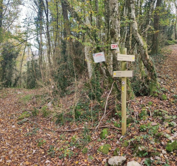 La Namphée - Champfromier - 1