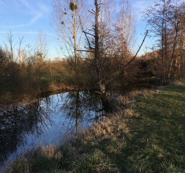 Vesoul via Pusey en Lake Vaivre per VTC. - Vesoul - 1