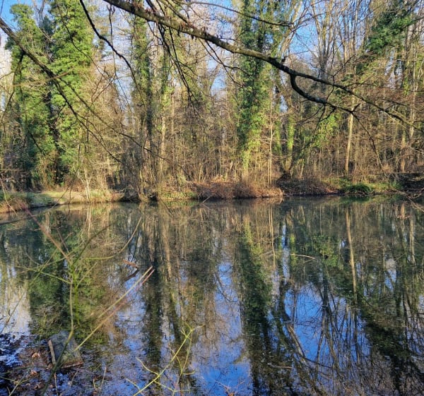 Balade en forêt de Bellejame à Marcoussis - Marcoussis - 1