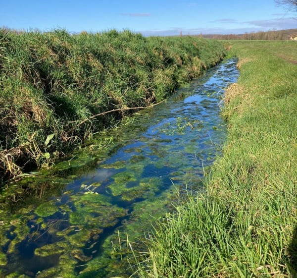Belle rando hivernale le long de la Melde à Quiestède - Quiestéde - 1