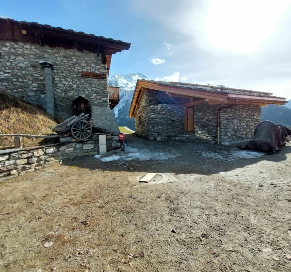 Petite balade à Champagny en Vanoise - Champagny-en-Vanoise - 1